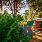 Emplacement Camping-car, tente, caravane avec électricité, Camping Guérande