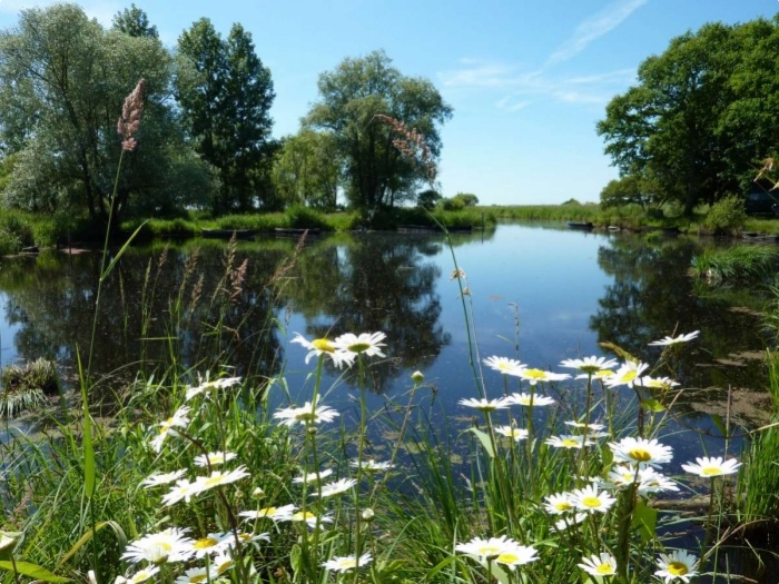 Le parc naturel de la Brière